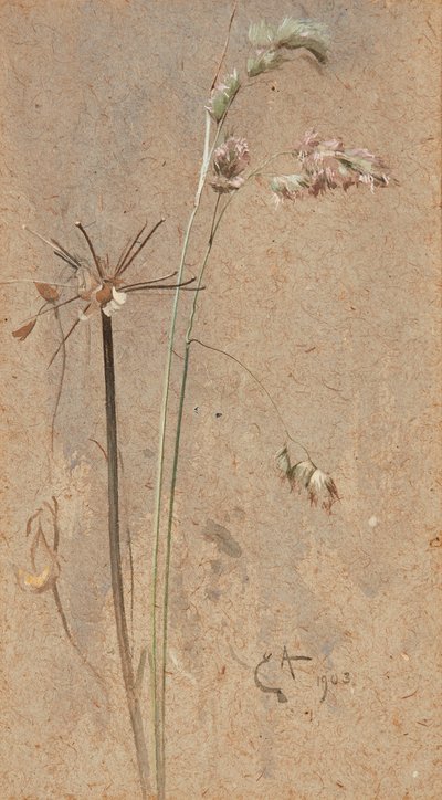 Houlque - Edwin John Alexander