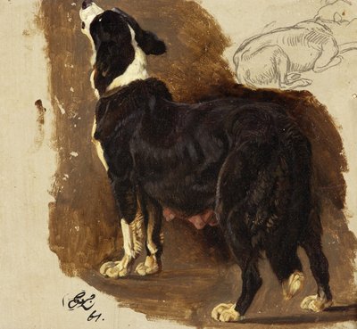 Chienne Collie - Edwin Landseer