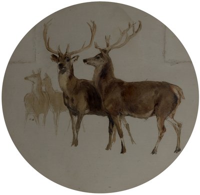 Cerfs dans un paysage (études de cerfs) - Edwin Landseer