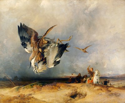 Chasse au faucon à l