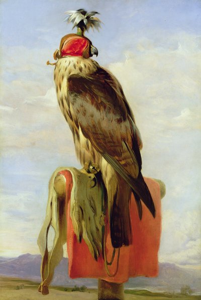 Faucon encapuchonné - Edwin Landseer
