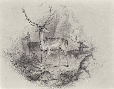 Dans la vallée - Edwin Landseer