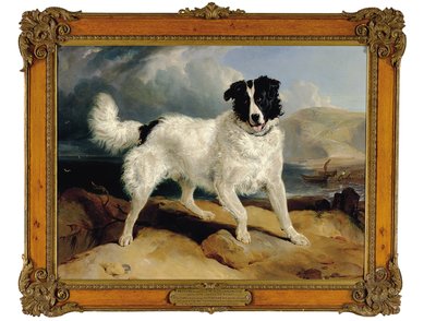 Neptune, la propriété de William Ellis Gosling, Esq., 1824 - Edwin Landseer