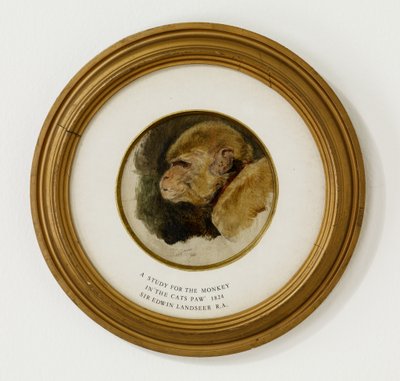 Étude pour le singe dans 