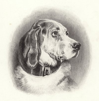 Le chien de Saint-Hubert - Edwin Landseer