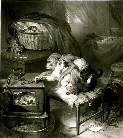 La Patte du Chat (gravure) - Edwin Landseer