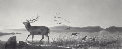 Le Sauvetage - Edwin Landseer