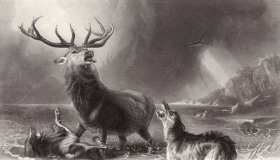 Le Cerf aux abois - Edwin Landseer