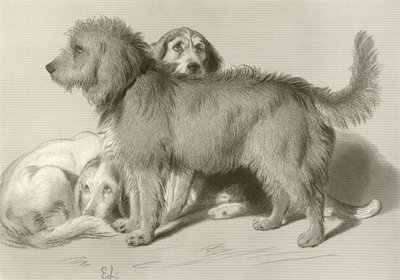 Les trois chiens - Edwin Landseer
