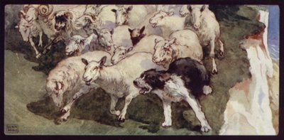 Chien de berger à queue coupée et troupeau sur les falaises - Edwin Noble