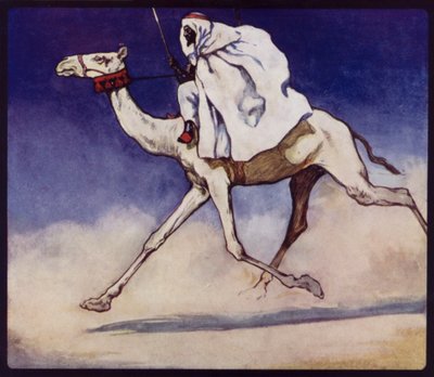 Chameau de course - Edwin Noble