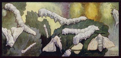 Vers à soie et papillons se nourrissant - Edwin Noble