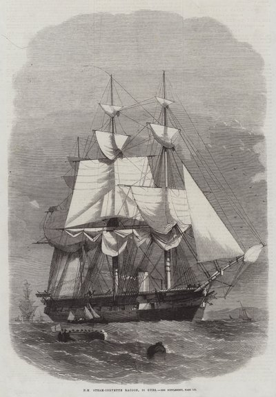 HM Steam-Corvette Racoon, 22 canons - Edwin Weedon
