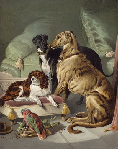 Dash, Hector, Nero et Lory - Edwin after Landseer
