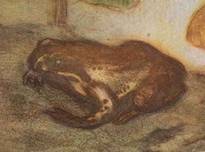 Grenouille avec populage des marais - Eero Järnefelt