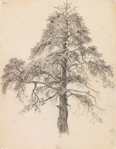 Cime de pin - Eero Järnefelt