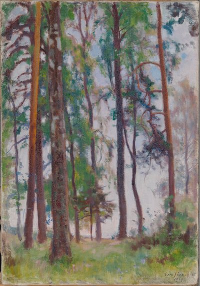  - Eero Järnefelt