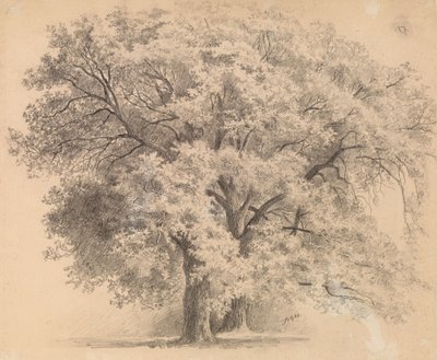 Sans titre - Eero Järnefelt