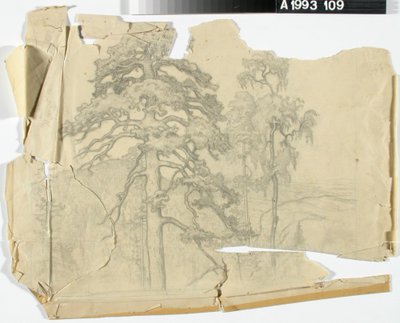 Sans titre - Eero Järnefelt