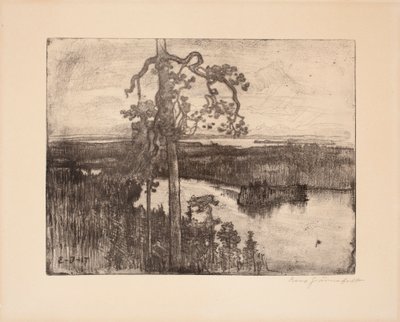 Sans titre - Eero Järnefelt