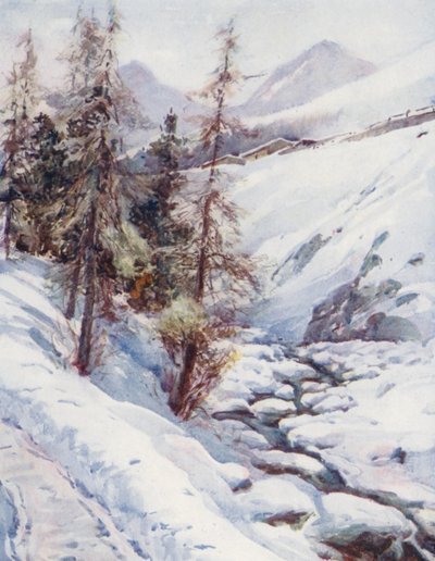 Suisse - Effie Jardine