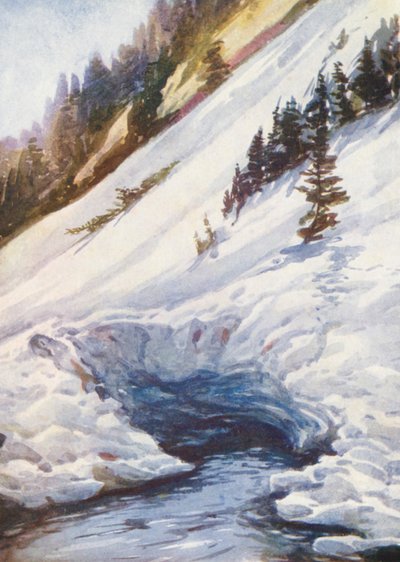 Suisse - Effie Jardine