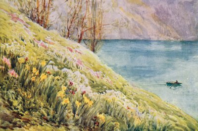 Suisse - Effie Jardine