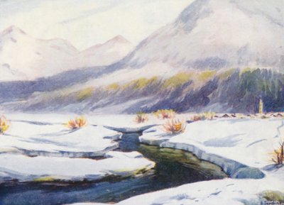 Suisse - Effie Jardine