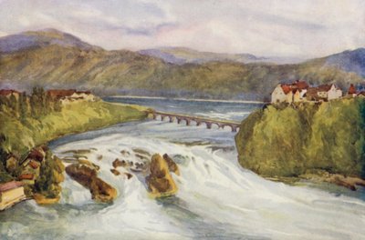Le Rhin : Les chutes du Rhin, Schaffhouse - Effie Jardine