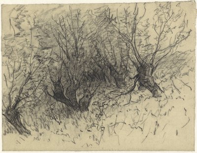 Quelques saules têtards - Egbert Rubertus Derk Schaap