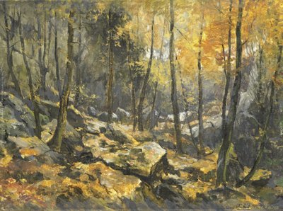 Felsenmeer - Egbert Rubertus Derk Schaap