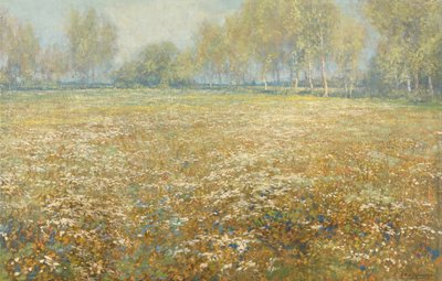 Prairie en fleurs - Egbert Rubertus Derk Schaap