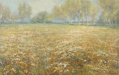 Prairie en fleurs - Egbert Schaap
