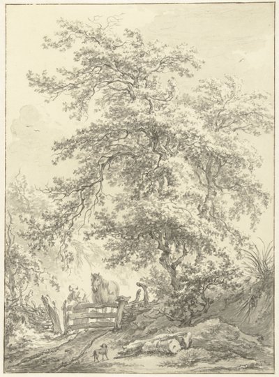 Femme avec cheval près d