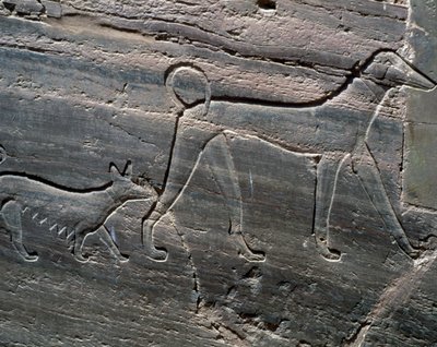 Couple de chiens, relief de l