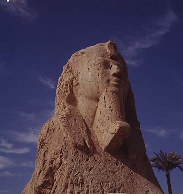 Sphinx en albâtre, Nouvel Empire, probablement du règne d