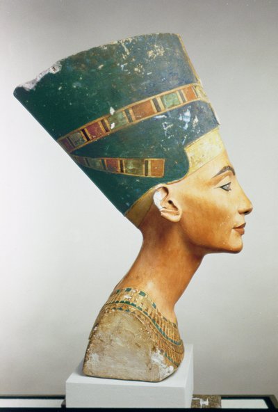 Buste de la reine Néfertiti, vue de côté, du studio de Thoutmôsis à Tell el-Amarna (calcaire peint) - Egyptian 18th Dynasty