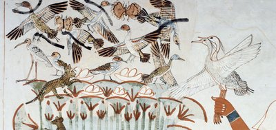 Canards, nids, papillons, chats et rongeurs, détail de la scène de chasse et de pêche dans les marais, fresque, mur nord, chambre longitudinale, Tombe thébaine TT69, Sheikh Abd el-Qurna, Thèbes. Civilisation égyptienne, Nouvel Empire, XVIIIe dynastie. - Egyptian 18th Dynasty
