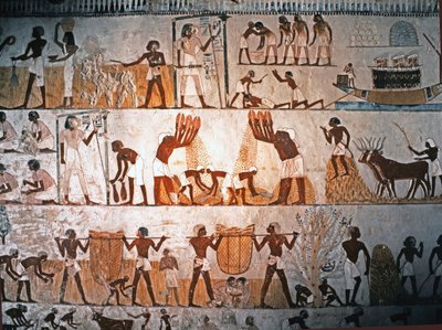 ART EGYPTIEN : Scène de récolte. Peinture murale dans la tombe de Menna à Elwe..., vers 1400 avant J.-C. (pierre calcaire) - Egyptian 18th Dynasty