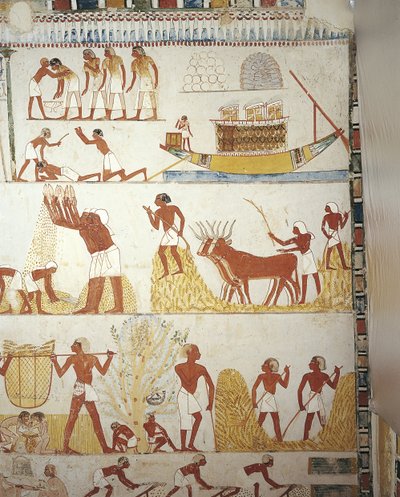 Égypte, Thèbes, Louxor, Sheikh 