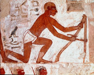 Art égyptien : Tombe de Rekhmire. Travail du laboureur avec son outil agricole. Fresque de Louxor (Site de Thèbes, Nécropole de Sheikh Abd al-Gournah, rive gauche du Nil, Égypte) - Egyptian 18th Dynasty