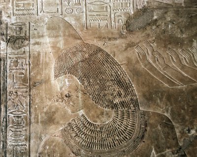 Antiquité égyptienne : relief de la tombe de Khaemhat, inspecteur des greniers et scribe à la cour d