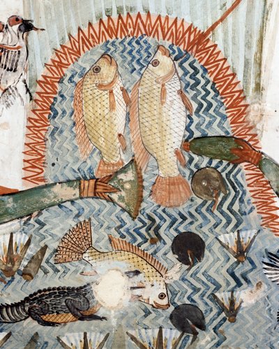 Poisson, détail de la scène de chasse et de pêche dans les marais, fresque, mur nord, chambre longitudinale, Tombe thébaine TT69, Sheikh Abd el-Qurna, Thèbes (liste du patrimoine mondial de l
