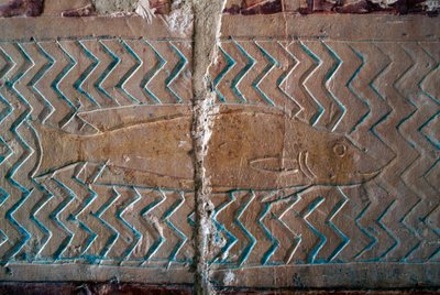 Poissons, scènes du royaume de Punt, mur sud de la colonnade centrale, Temple funéraire d