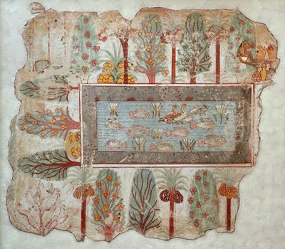 Jardin d