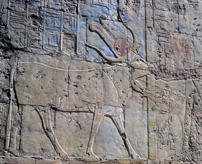 Déesse Hathor sous forme de vache sacrée, relief peint, Chapelle d