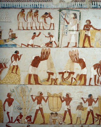 Récolte, battage et vannage du grain (détail) - Egyptian 18th Dynasty