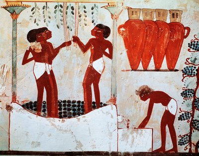Illustration de la vie rurale quotidienne : plumage des volailles et vendanges, provenant de la tombe de Nakht à Thèbes - Egyptian 18th Dynasty