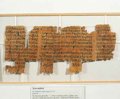 Prescription médicale écrite sur papyrus - Egyptian 18th Dynasty