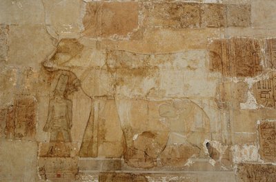 Temple mortuaire de la reine Hatchepsout : Chapelle d
